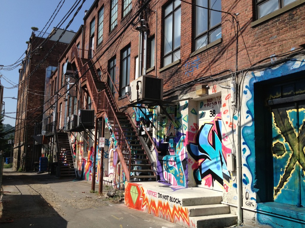 PHOTOS New Wilson Alley mural in downtown Asheville