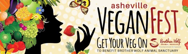 2016-Veganfest-header-web