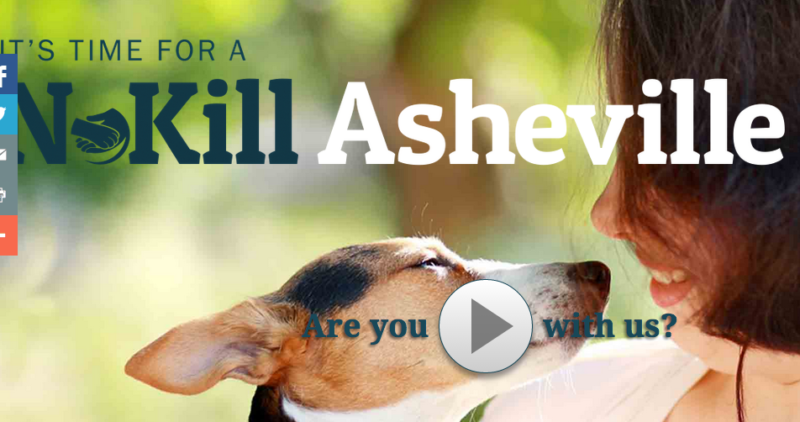 Brother Wolf Animal Rescue launches major no-kill campaign in Asheville