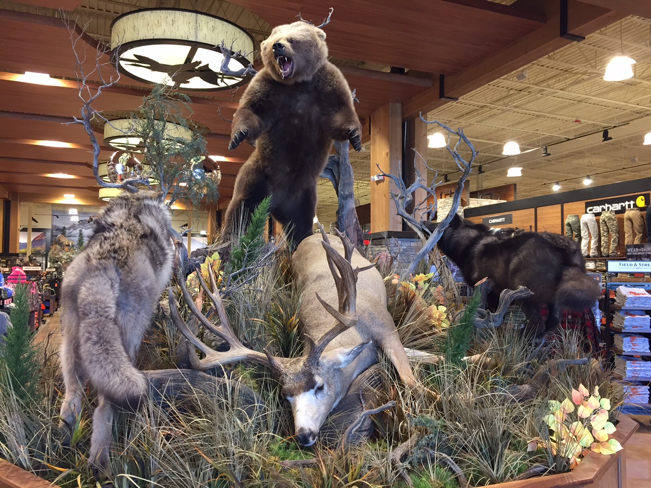 field_and_stream_asheville_2015_9 Ashvegas